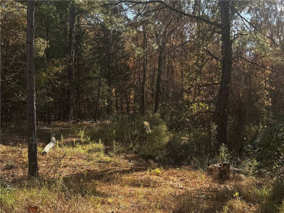 1206 Cheeks Cir Gray Court, SC 29645