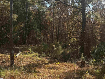 1206 Cheek Rd Gray Court, SC 29645