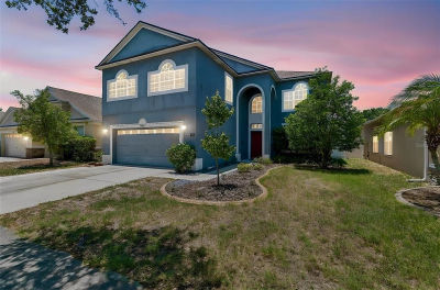 8718 Sandy Plains Dr Riverview, FL 33578