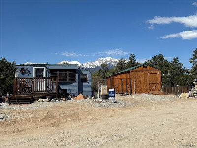 10795 County Road 197 #A-282-283 Nathrop, CO 81236