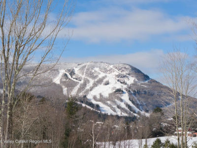 3 Ruth Ct Hunter, NY 12442