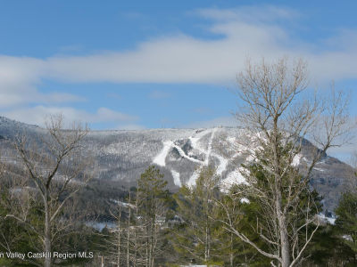 1 Ruth Ct Hunter, NY 12442