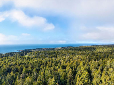 44411 Little River Airport Rd Little River, CA 95456