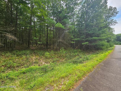 LOT 44 Ripplewood Dr Tafton, PA 18464
