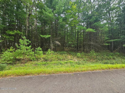 LOT 43 Ripplewood Dr Tafton, PA 18464