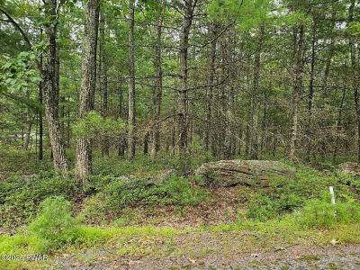LOT 42 Ripplewood Dr Tafton, PA 18464