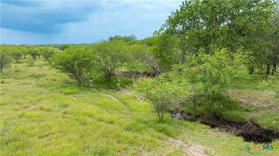 LOT 1 Concrete Edgar Rd Cuero, TX 77954