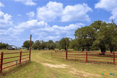 2901 Mule Creek Rd Harwood, TX 78632