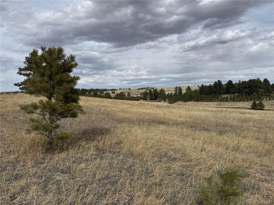 39080 County Road 21 Elizabeth, CO 80107