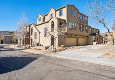 3853 Stonebrush Dr #12C Highlands Ranch, CO 80126