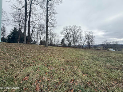 LOT 4 Oak Point Dr Jonesville, VA 24263