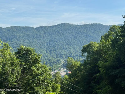 Wallens Ridge Rd Big Stone Gap, VA 24219