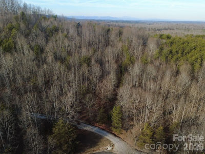 LOT Double Eagle Dr #23 & 24 Nebo, NC 28761