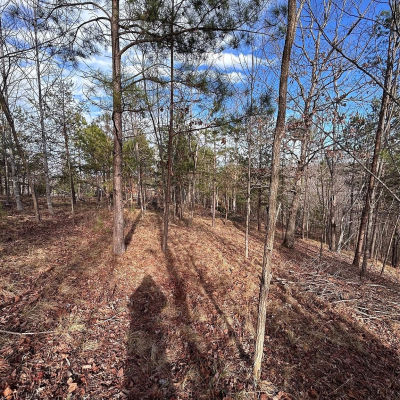 254 Stoney Creek Dr #224 Nebo, NC 28761