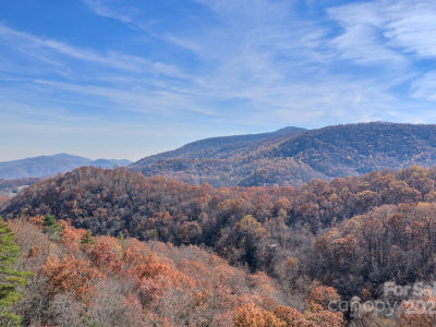 44 Alfalfa Trl Fairview, NC 28730