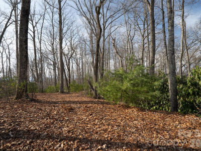 29 Open Ridge Trl Pisgah Forest, NC 28768