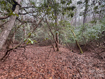 0 Falls Creek Ct Pisgah Forest, NC 28768