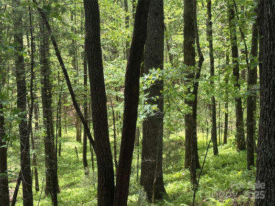 9999 Sassafras Ln #4 Cedar Mountain, NC 28718