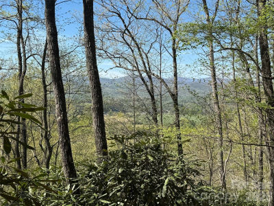 33 Reserve Rd #33 Pisgah Forest, NC 28768