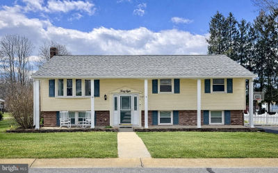 38 Covington Dr Shrewsbury, PA 17361