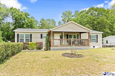 187 Central Place Ln Pageland, SC 29728