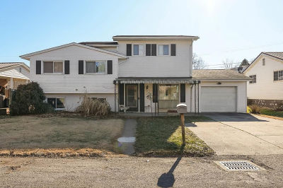 61 Orchard Dr New Martinsville, WV 26155