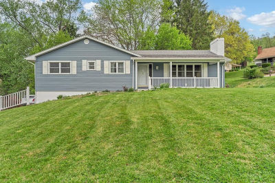 170 Fairview Dr New Martinsville, WV 26155