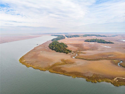 0 Barbour Is Townsend, GA 31331