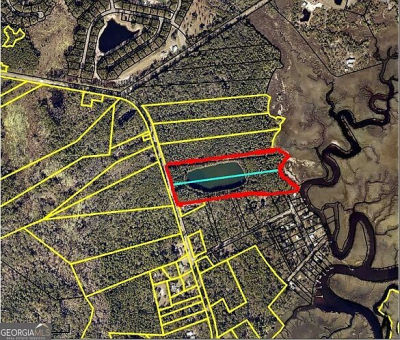 Dover Bluff Rd Waverly, GA 31565