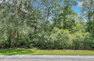 LOT 59 Saint Josephs Poin SE Darien, GA 31305