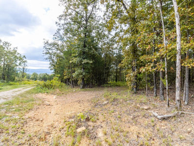 527 Thompson Bay Rd New Blaine, AR 72851