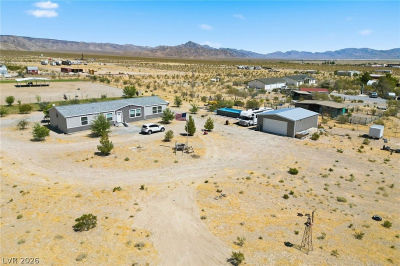 1295 E Nickel Ave Sandy Valley, NV 89019