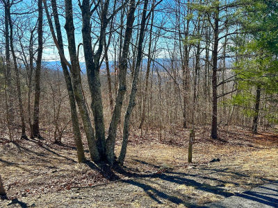 LOT 92 White Rock Trl Caldwell, WV 24925