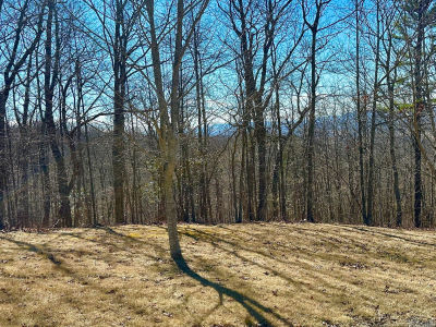 91 White Rock Trl Caldwell, WV 24925