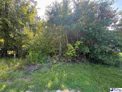 S Wallace Rd Florence, SC 29506