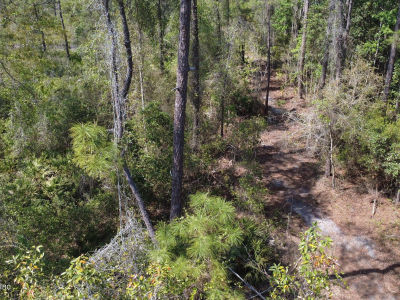 113 Seminole Pl Satsuma, FL 32189