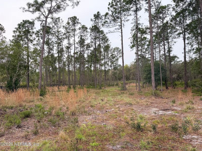 519 N 5th St Satsuma, FL 32189