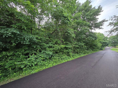 0 W Lakeview Dr De Soto, MO 63020