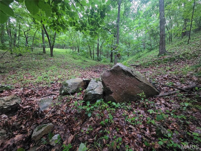 0 County Road 8500 Newburg, MO 65550
