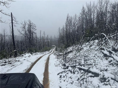 111 Seminole Dr Berry Creek, CA 95916