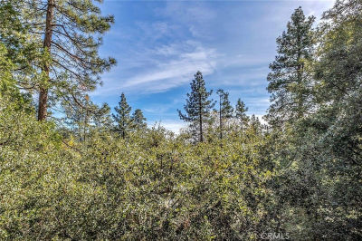 0 Jeffery Pine Rd Lot 36 Idyllwild, CA 92549