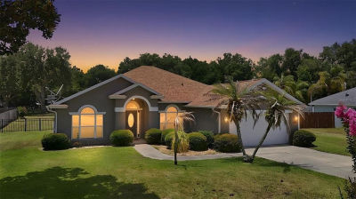 36723 Sundance Dr Grand Island, FL 32735