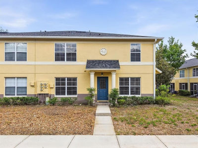 3435 Castle Stone Ct Valrico, FL 33594