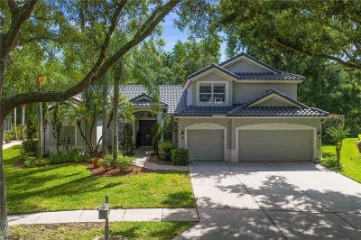 10237 Garden Alcove Dr Tampa, FL 33647