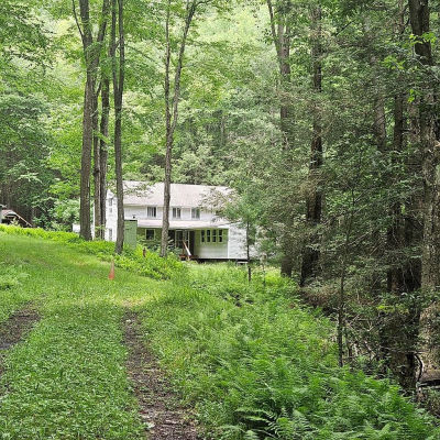 1992 Beaverdam Rd Renovo, PA 17764