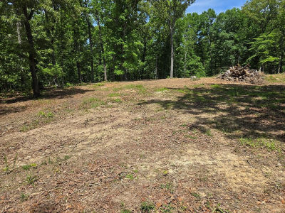 730 Swan Bay Dr Buchanan, TN 38222