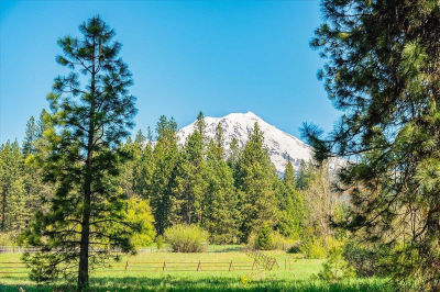 100 Old Mill Dr McCloud, CA 96057