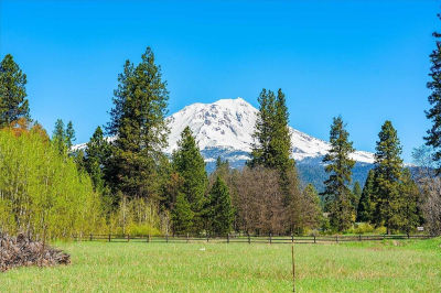 103 Old Mill Dr McCloud, CA 96057