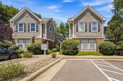 3371 Lenox Village Dr Unit 155 Fairlawn, OH 44333
