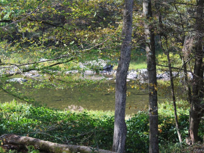 Peakville Rd East Branch, NY 13756